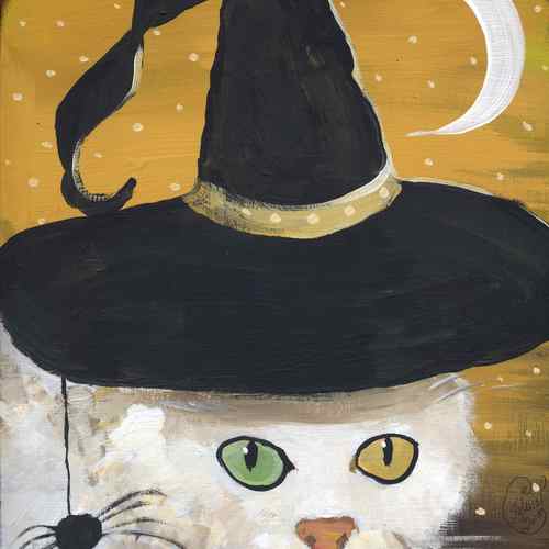 Whitewcat1